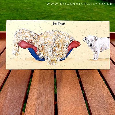 Bed Thief Fun Dog Greetings Card